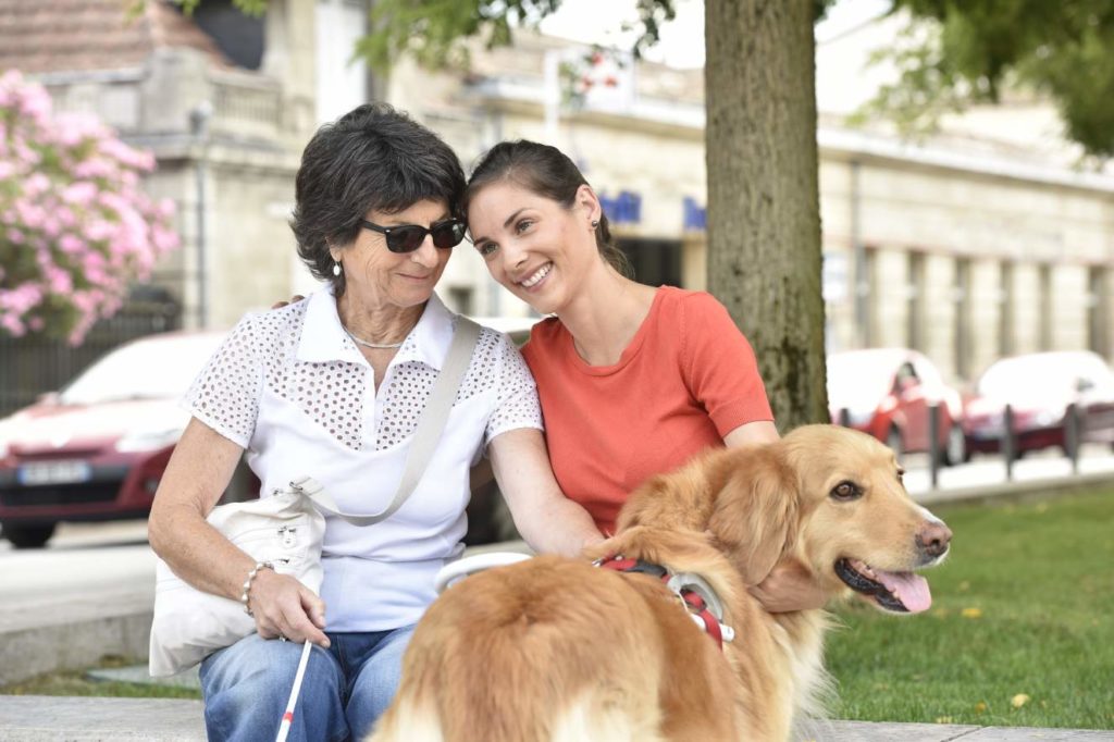 Een oudere vrouw met geleidehond en geleidestok, zit gemoedelijk op een bankje met een andere vrouw