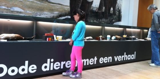 Een meisje staat naar een vitrine te kijken waar in witte letters op een zwarte ondergrond de tekst staat: dode dieren met een verhaal