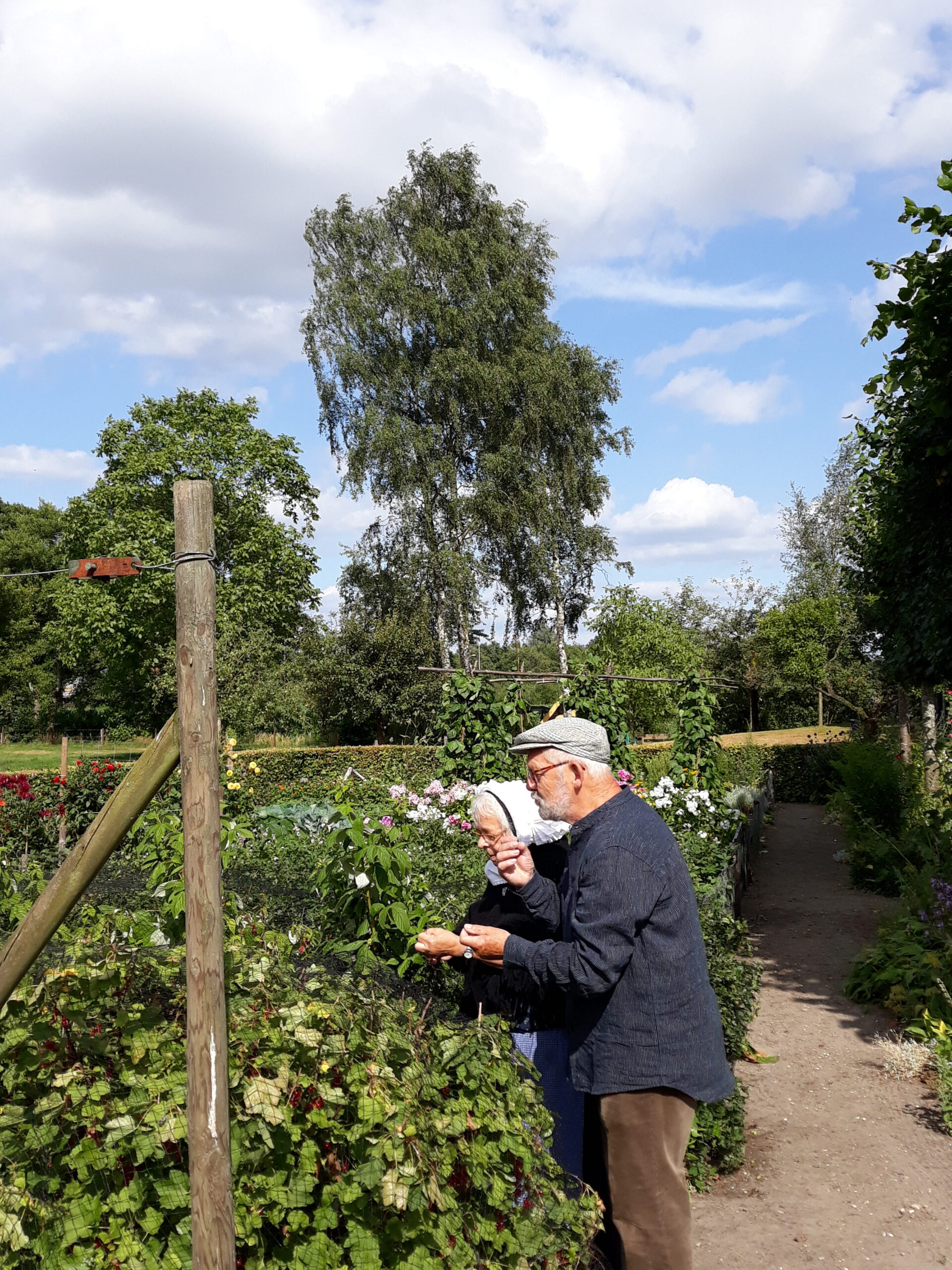 Een oudere man en vrouw in klederdracht staan gebogen over groene planten in de tuin van het museum