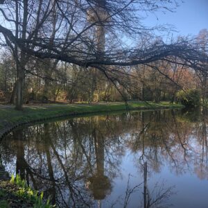 Door de kale bomen van het park is de Euromast nog net te zien. De bomen worden weerspiegeld in het water op het onderste deel van de foto.