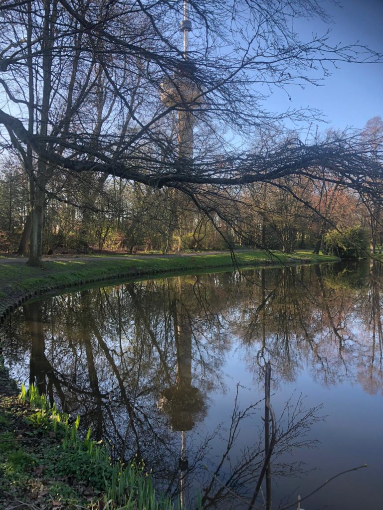Door de kale bomen van het park is de Euromast nog net te zien. De bomen worden weerspiegeld in het water op het onderste deel van de foto.