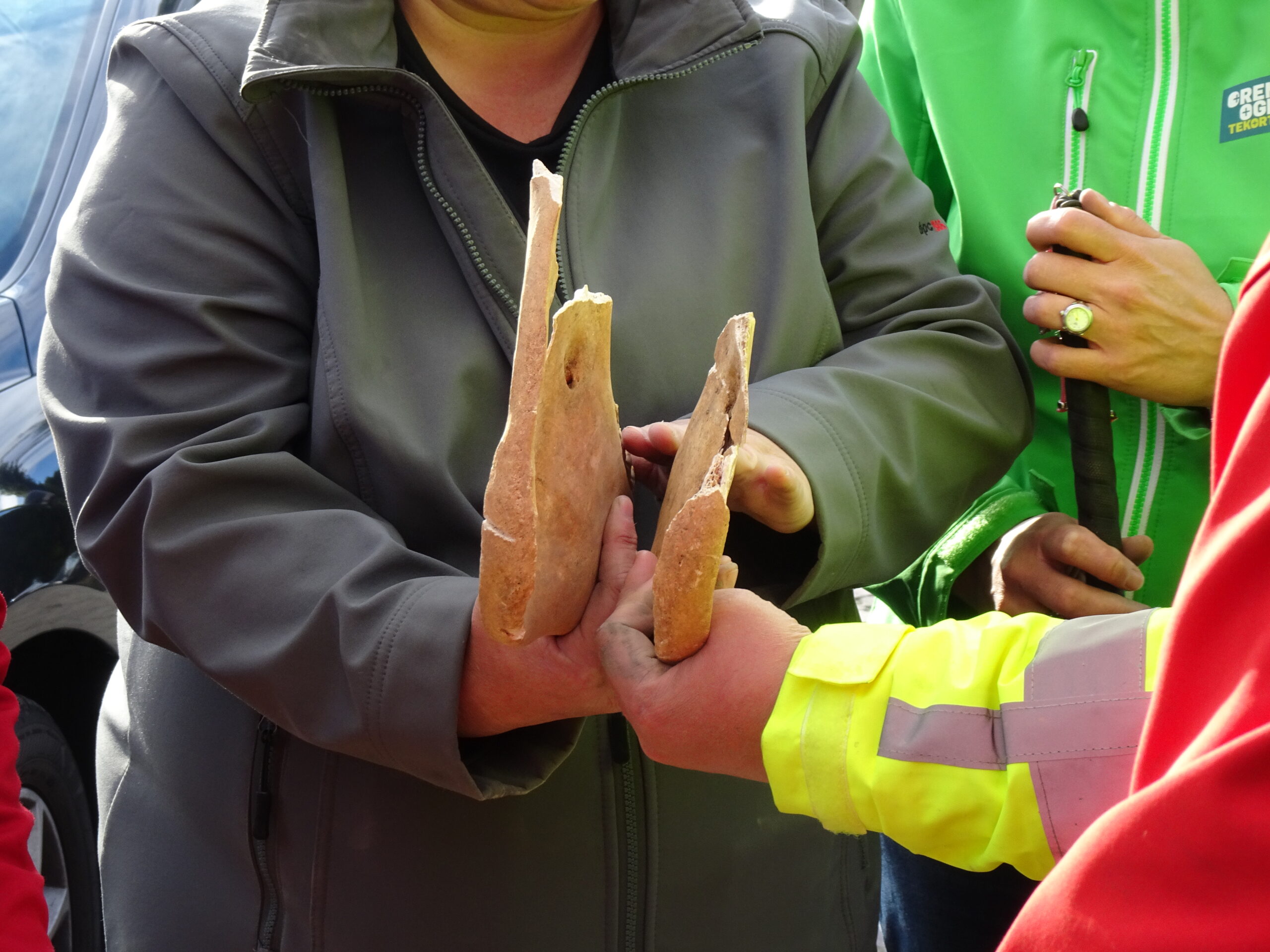 een vrouw voelt aan de kaak van een paard
