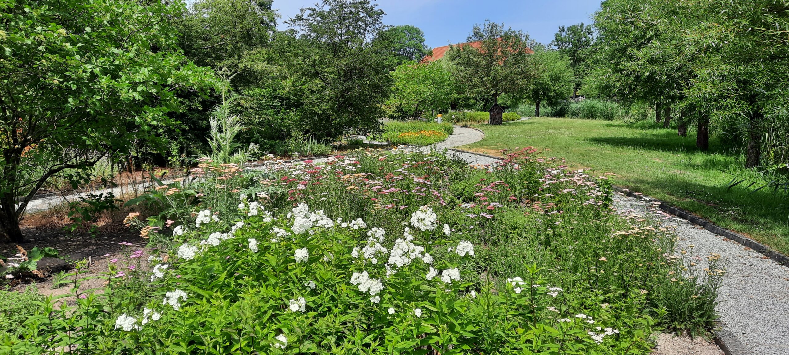 Een kleurrijke afbeelding van de tuin met verharde paden en groene borders
